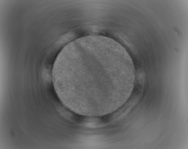 X0000113260719200910081339