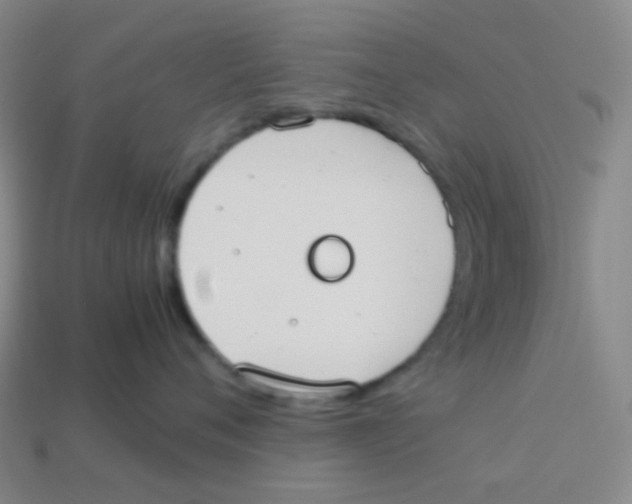 X0000113260720200910081339