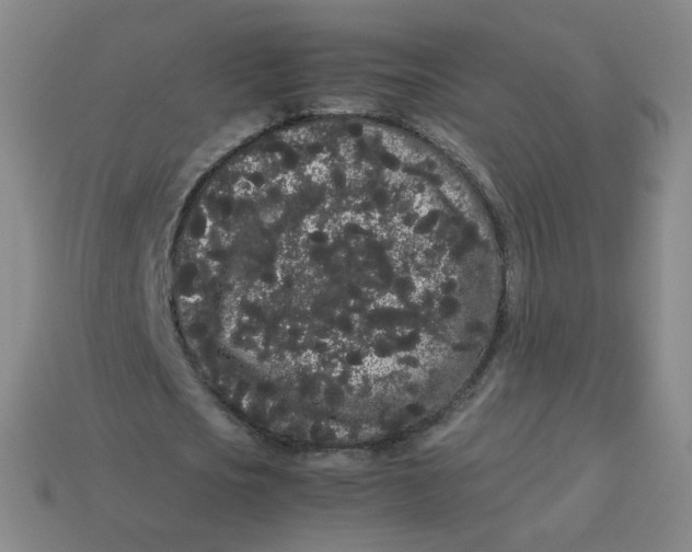 X0000113260721200910081338