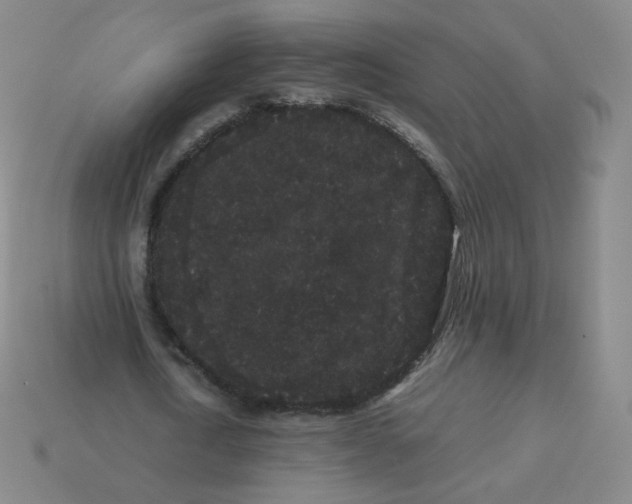 X0000113260722200910081338