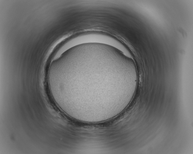 X0000113260724200910081339