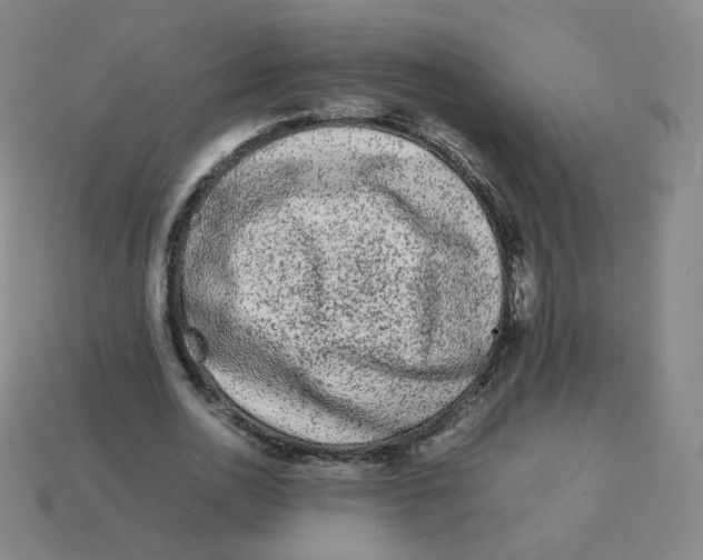 X0000113260726200910081339