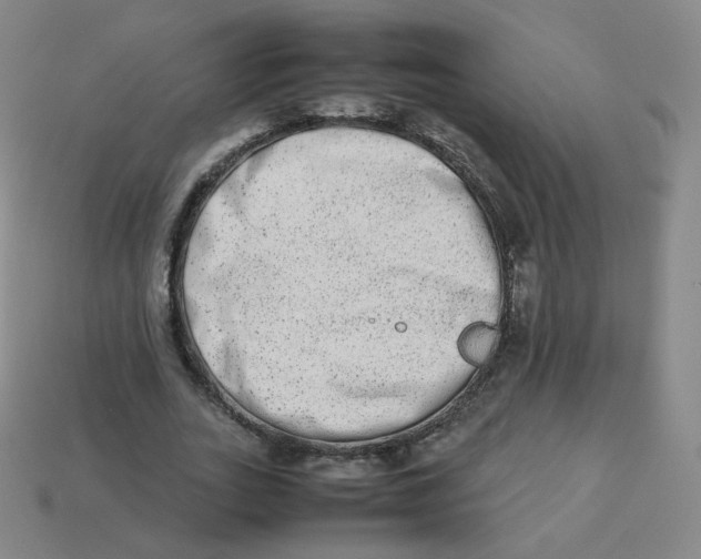 X0000113260727200910081339