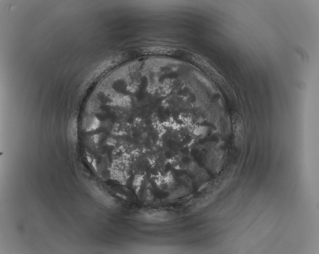 X0000113260729200910081339
