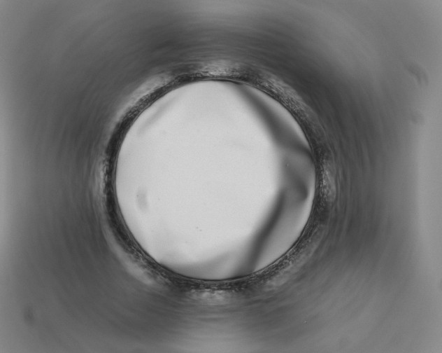 X0000113260730200910081339