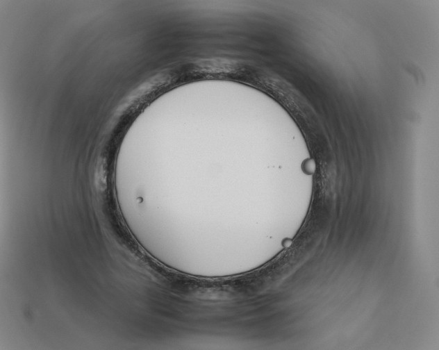 X0000113260731200910081339
