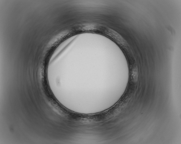 X0000113260732200910081339
