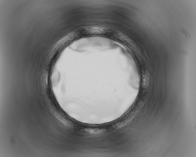 X0000113260733200910081339