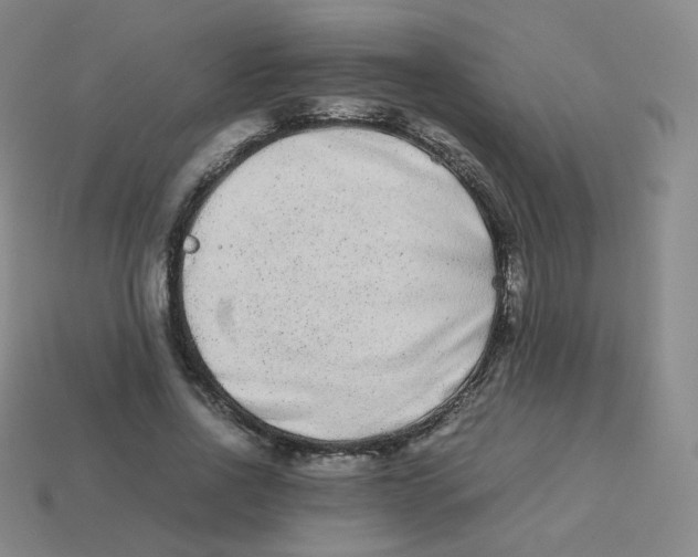 X0000113260734200910081339