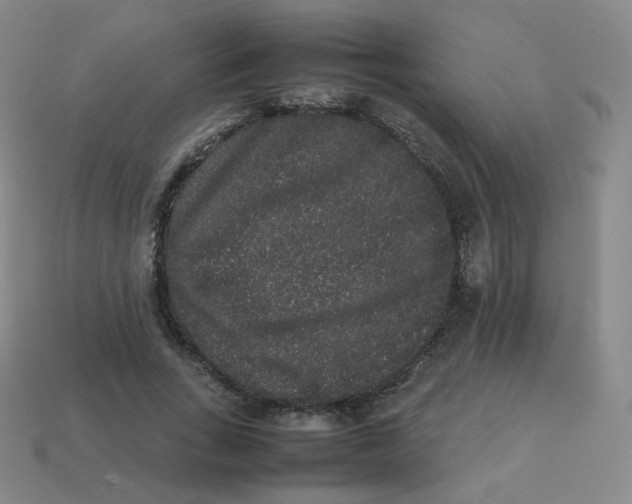 X0000113260735200910081339
