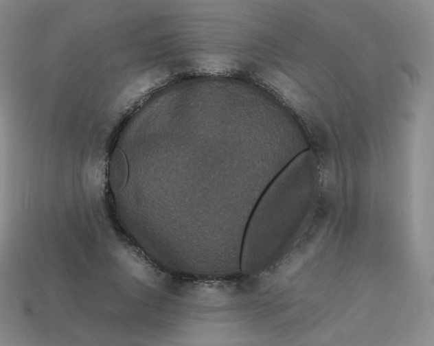 X0000113260736200910081339