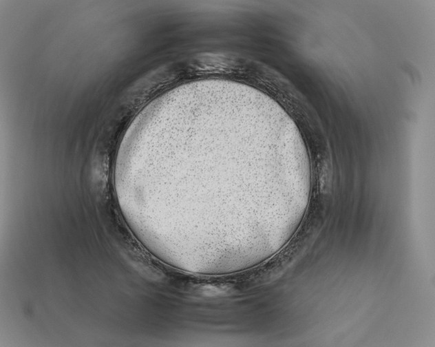 X0000113260737200910081339