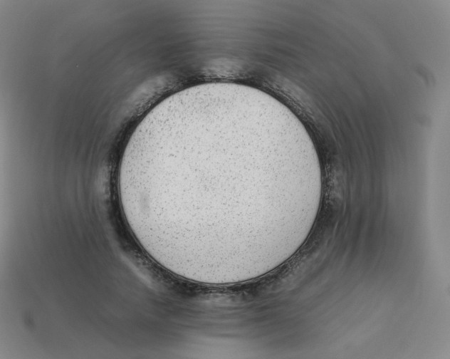 X0000113260738200910081339