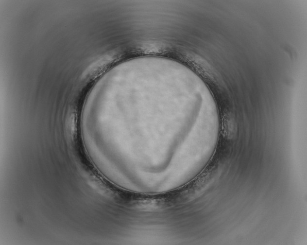 X0000113260740200910081339