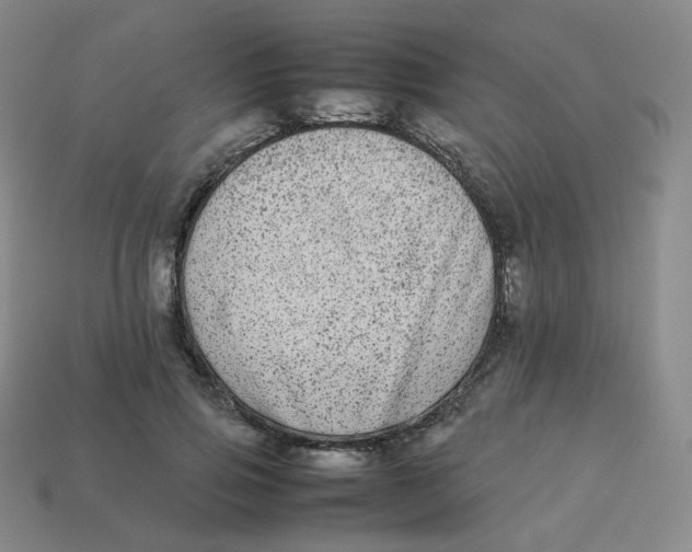 X0000113260741200910081339