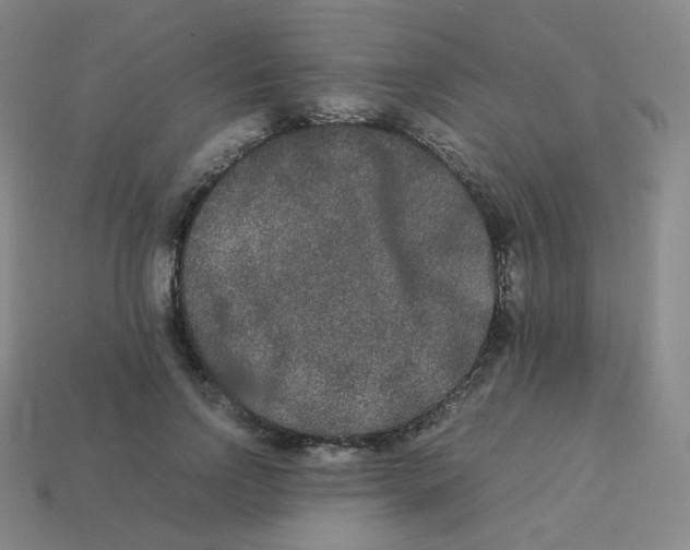 X0000113260742200910081339