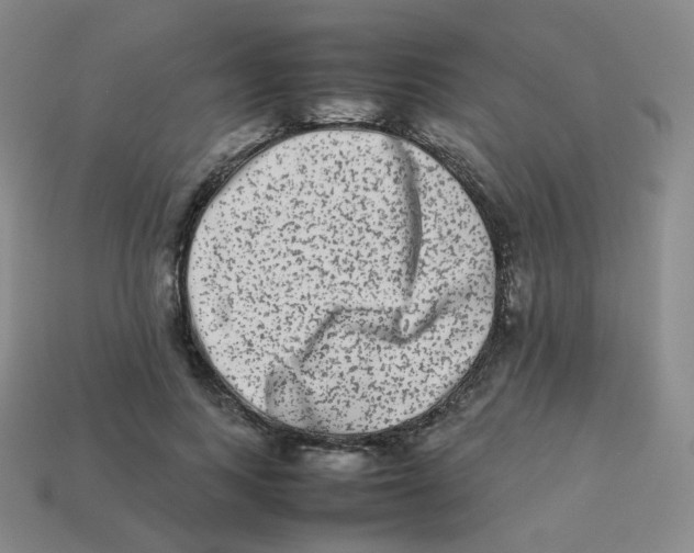 X0000113260743200910081339