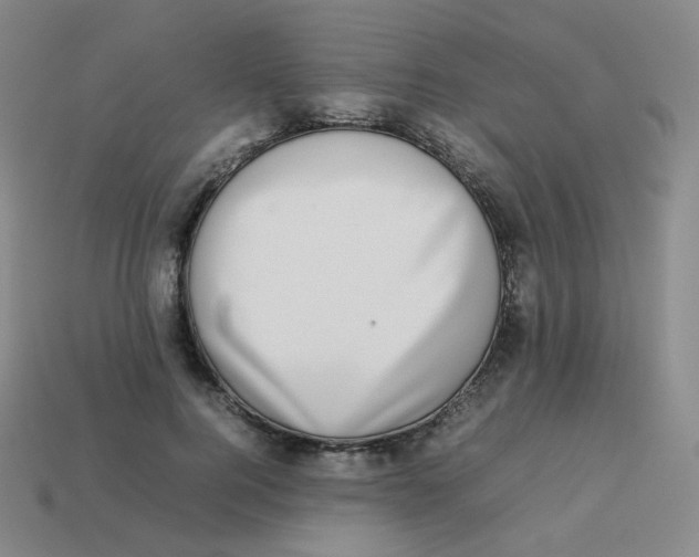 X0000113260744200910081339