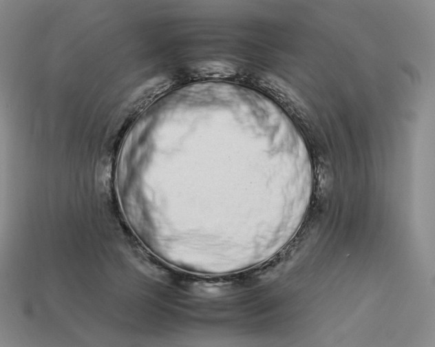 X0000113260745200910081339