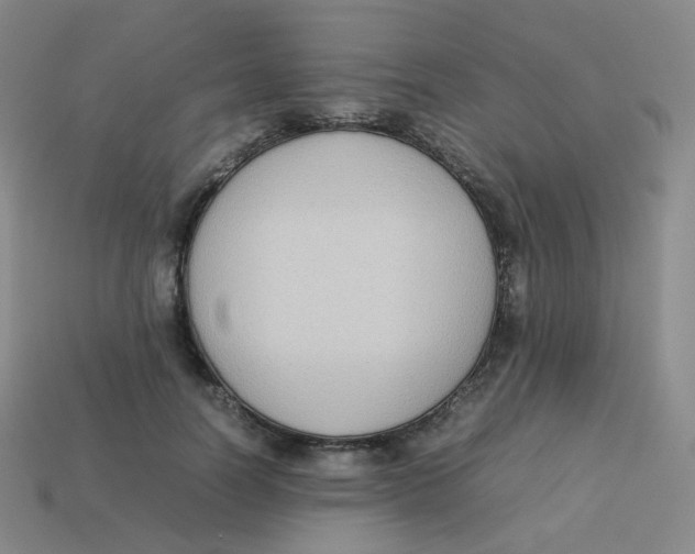 X0000113260746200910081339