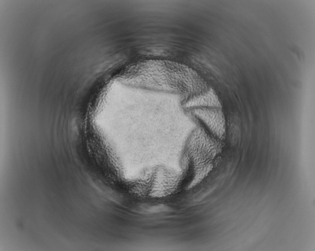 X0000113260747200910081339