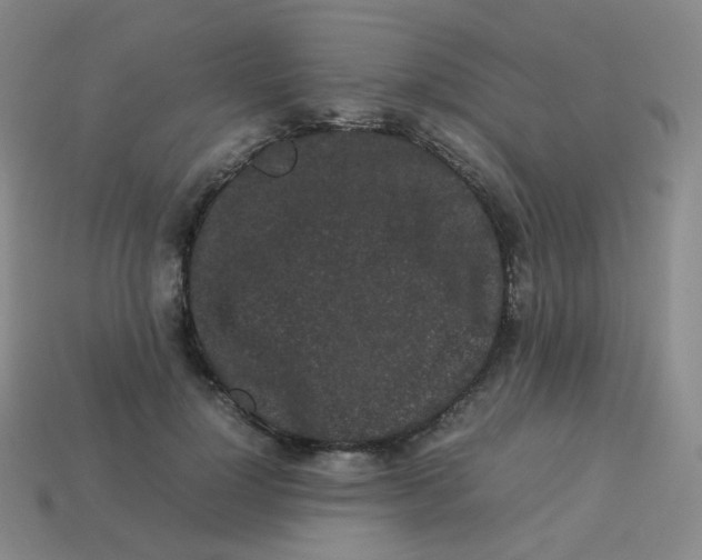 X0000113260748200910081339