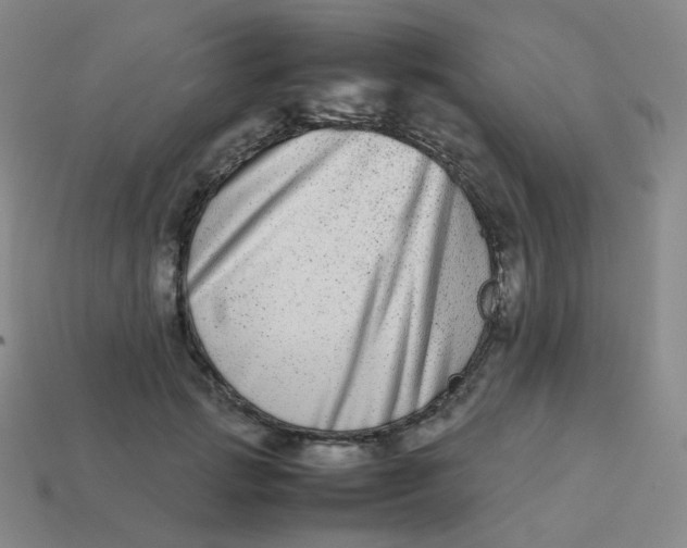 X0000113260749200910081339