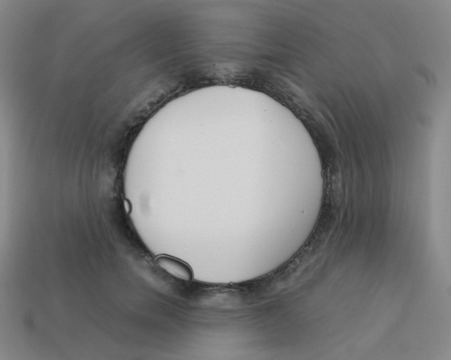 X0000113260750200910081339