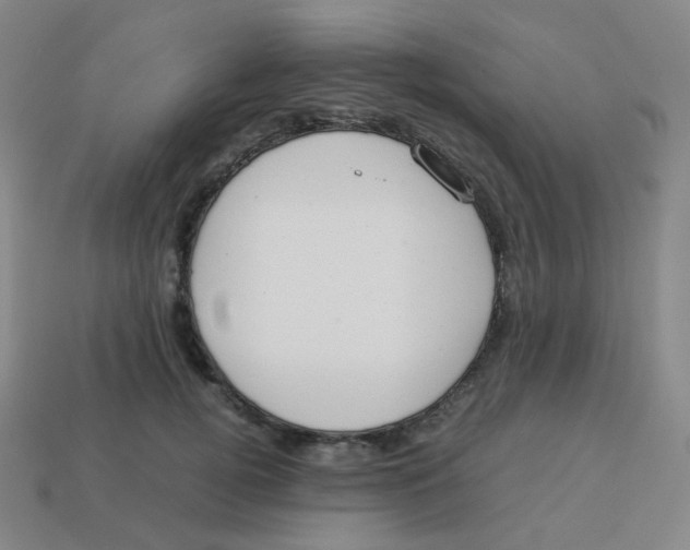 X0000113260752200910081339
