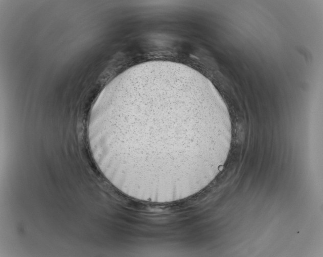 X0000113260753200910081339