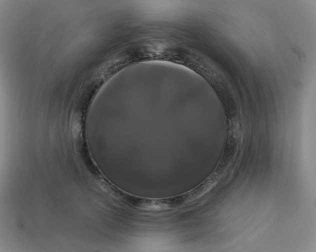 X0000113260754200910081339