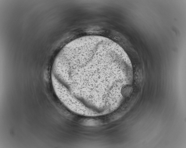 X0000113260755200910081339