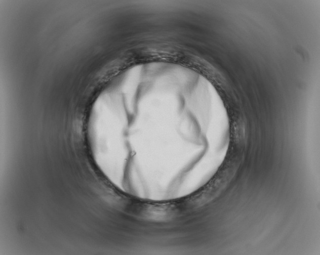 X0000113260757200910081339