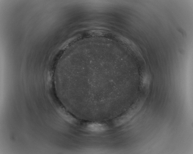 X0000113260759200910081339