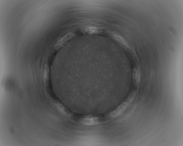 X0000113260760200910081339