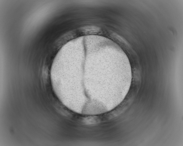 X0000113260761200910081339
