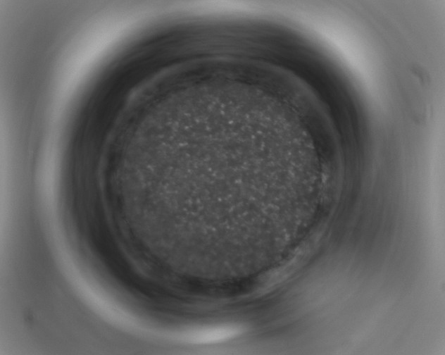 X0000113260765200910081339