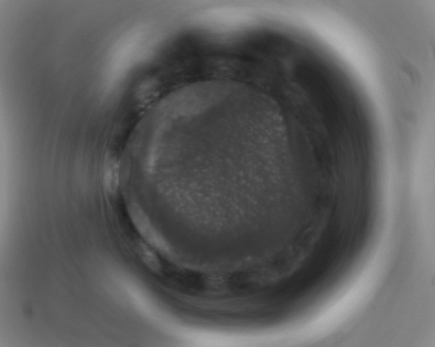 X0000113260766200910081339