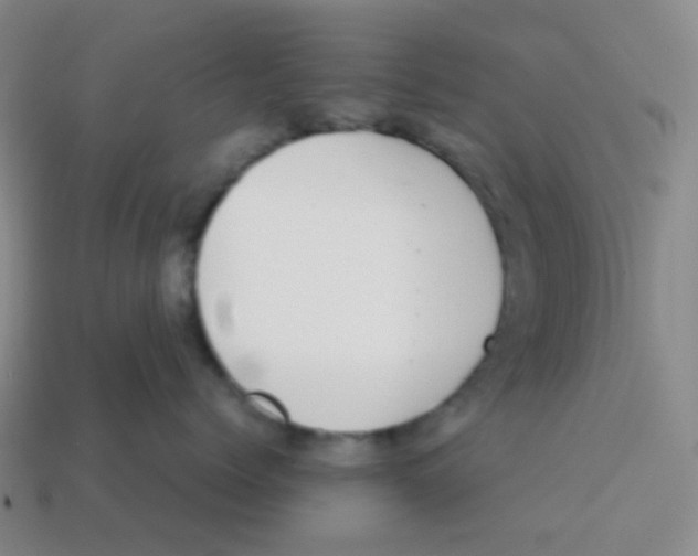 X0000113260768200910081339
