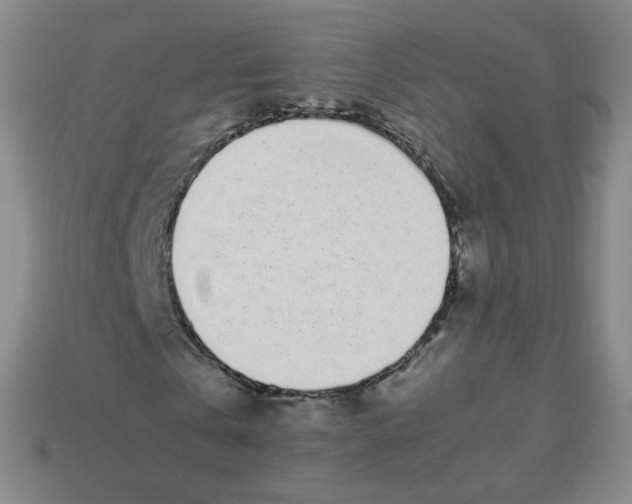 X0000113260769200910081338