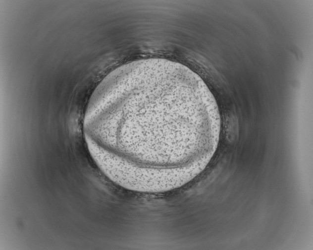 X0000113260770200910081338