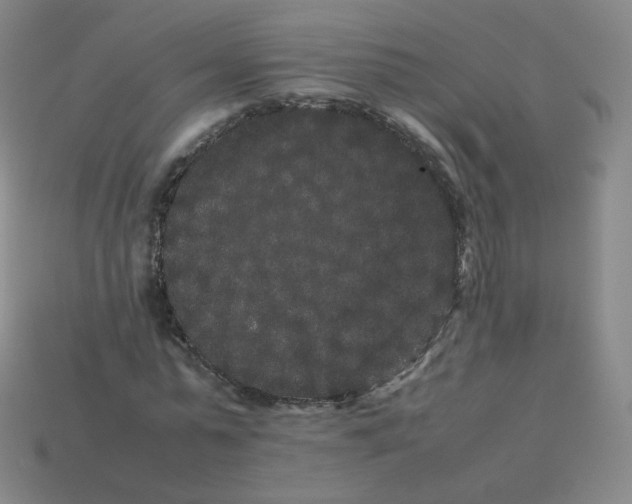 X0000113260775200910081338