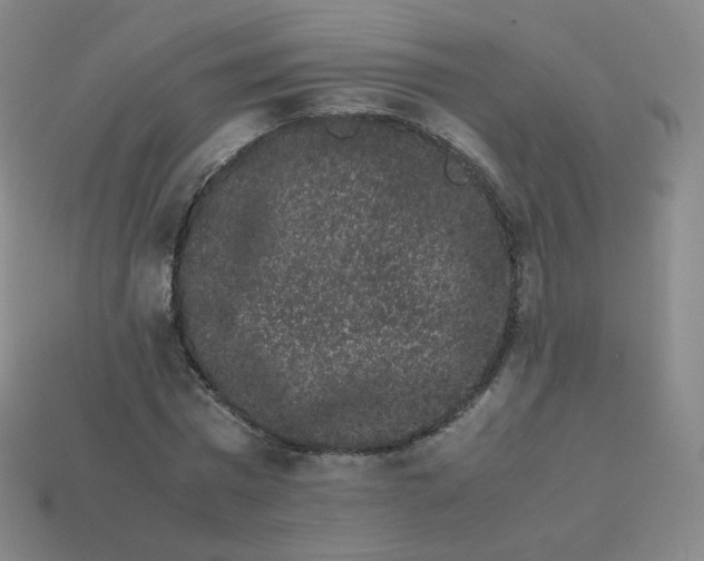 X0000113260777200910081338