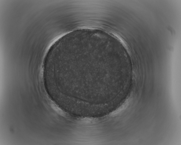 X0000113260779200910081338
