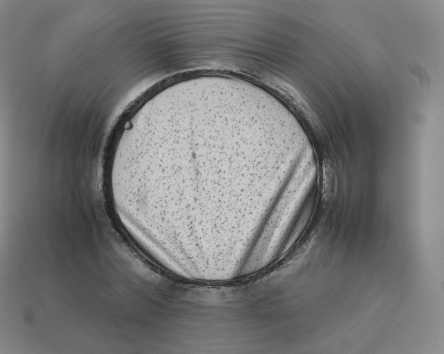X0000113260780200910081338