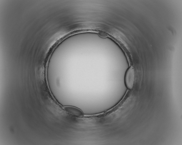 X0000113260781200910081338