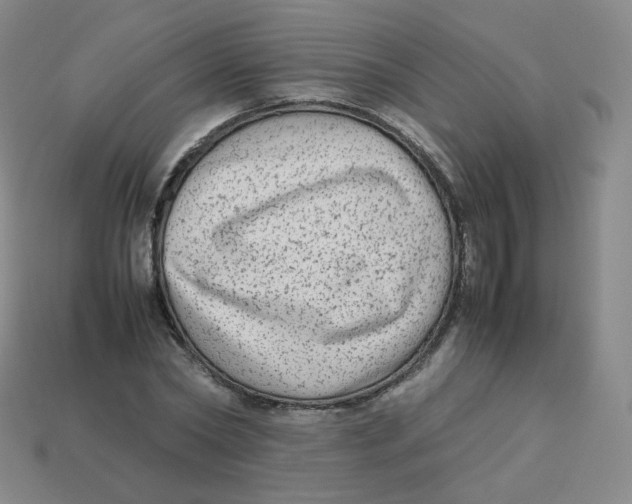 X0000113260782200910081338