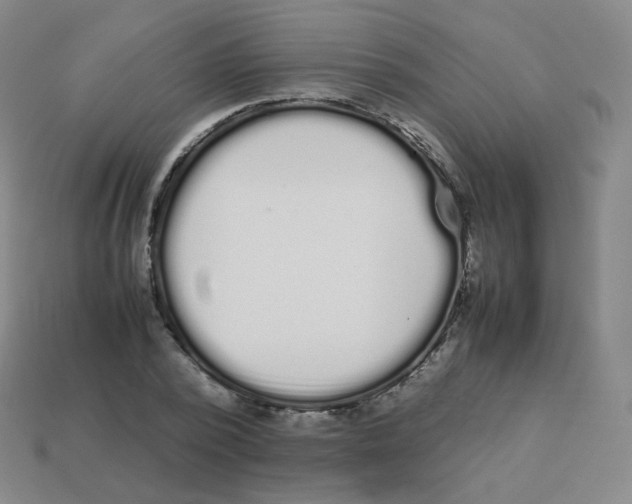 X0000113260784200910081338