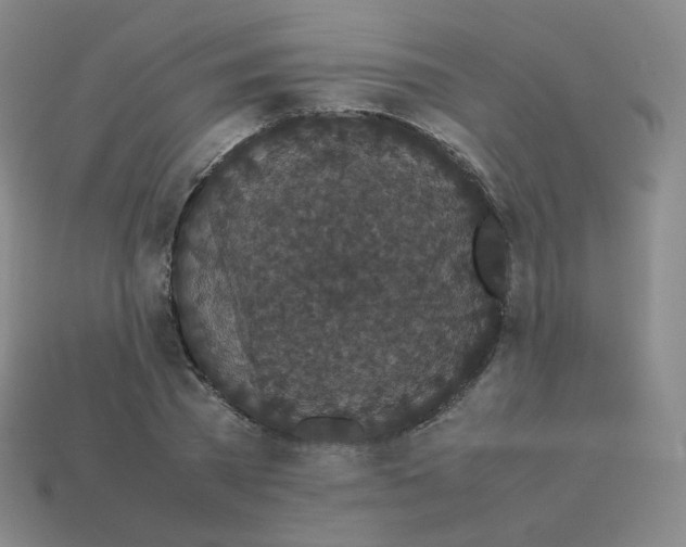 X0000113260785200910081338
