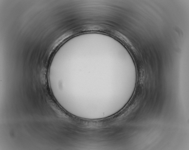 X0000113260786200910081338